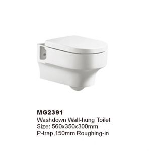 WALEC-MG2391