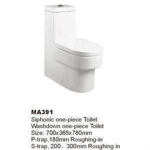 WALEC-MA391