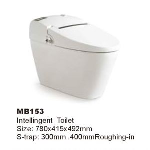 WALEC-MB153