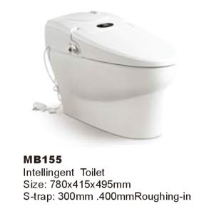 WALEC-MB155