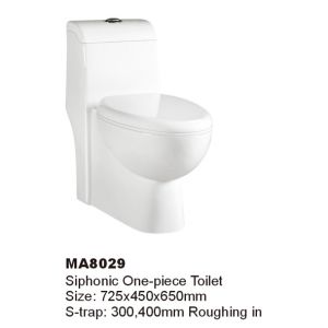 WALEC-MA8029