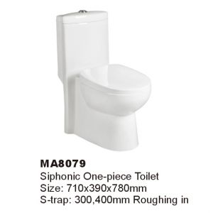 WALEC-MA8079