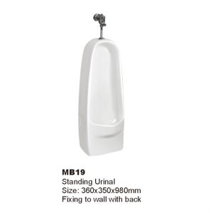 WALEC-MB19