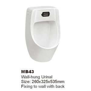 WALEC-MB43