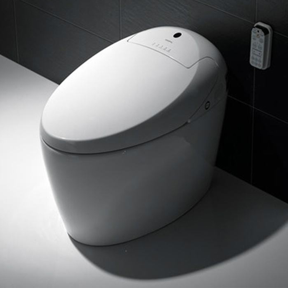 Intelligent Toilet series