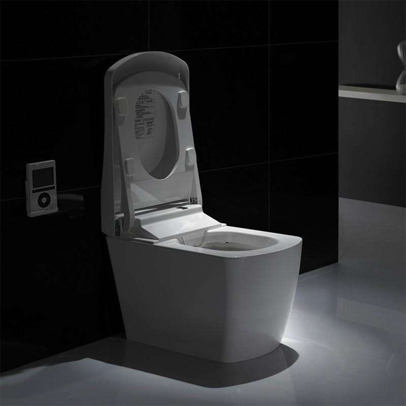 Toilet series