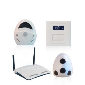 Home Security